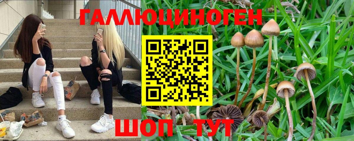 Галлюциногенные грибы Cubensis  Вход с VPN  Галлюциногенные грибы MAGIC MUSHROOMS  Вязники 
